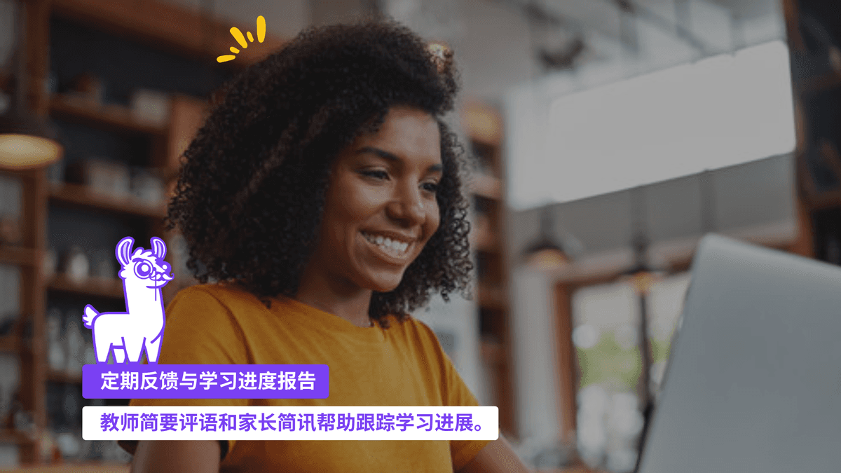 定期反馈与学习进度报告